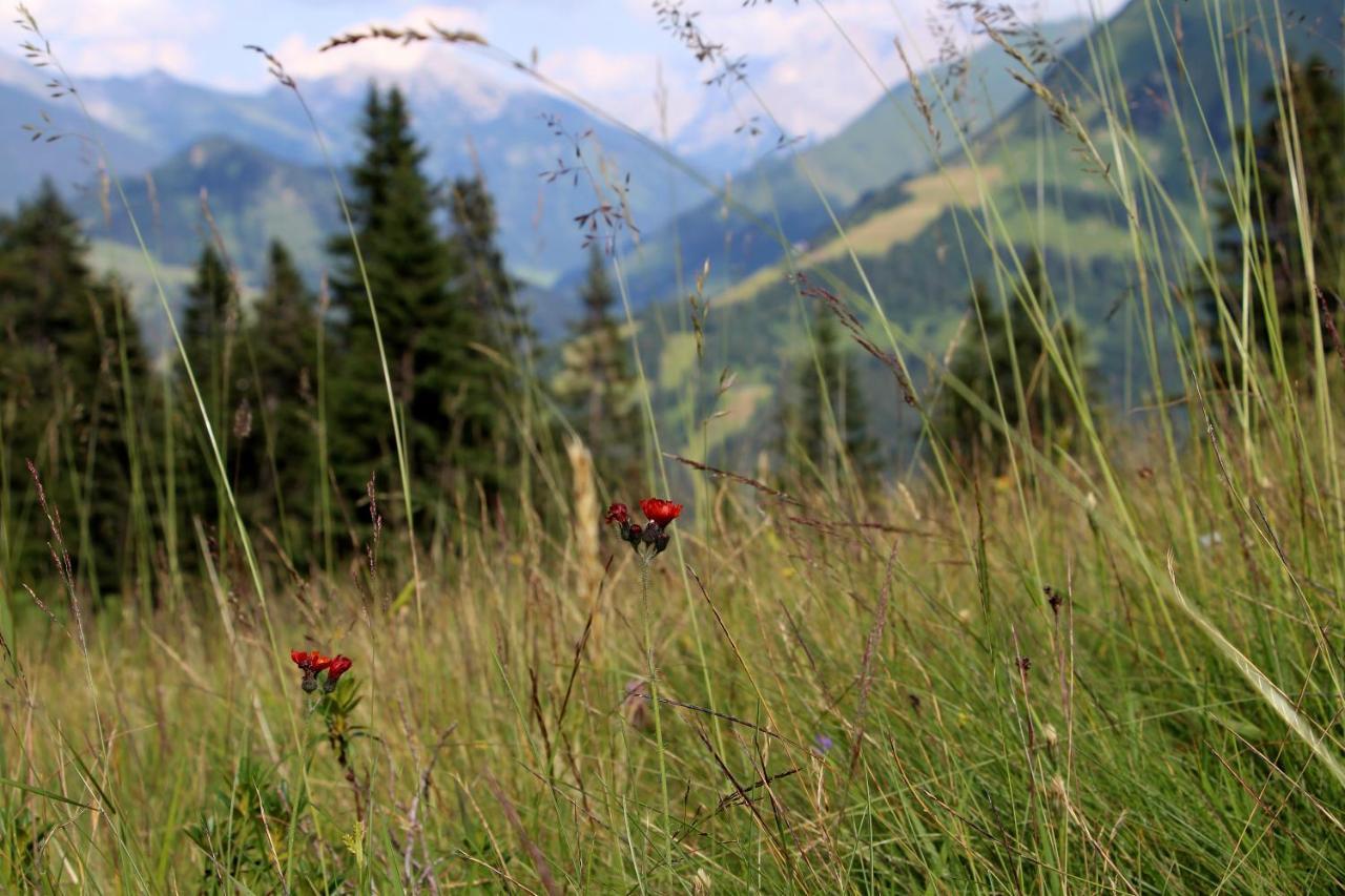 Ferienwohnung Tauernblick Unterletzen Esterno foto